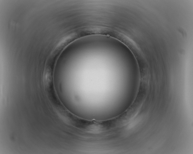 X0000115480119200911061225