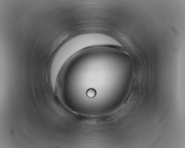 X0000115480120200911061225