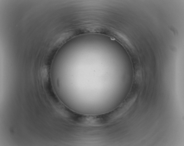 X0000115480121200911061225