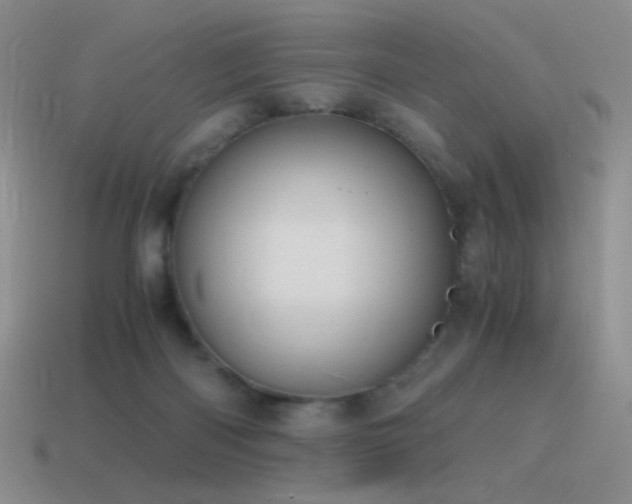 X0000115480122200911061225