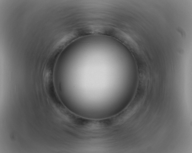 X0000115480123200911061225