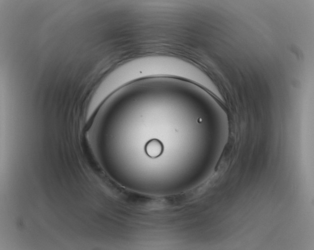 X0000115480124200911061225