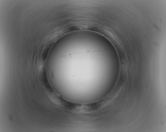 X0000115480125200911061225