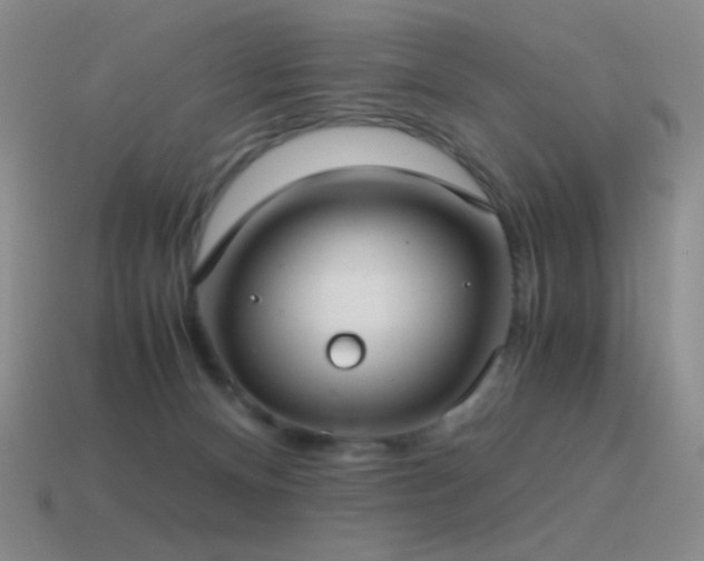 X0000115480128200911061225