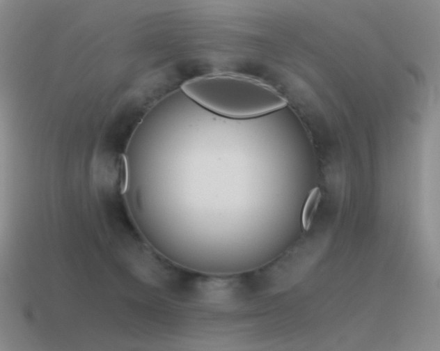 X0000115480129200911061225