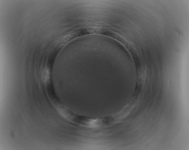 X0000115480130200911061225