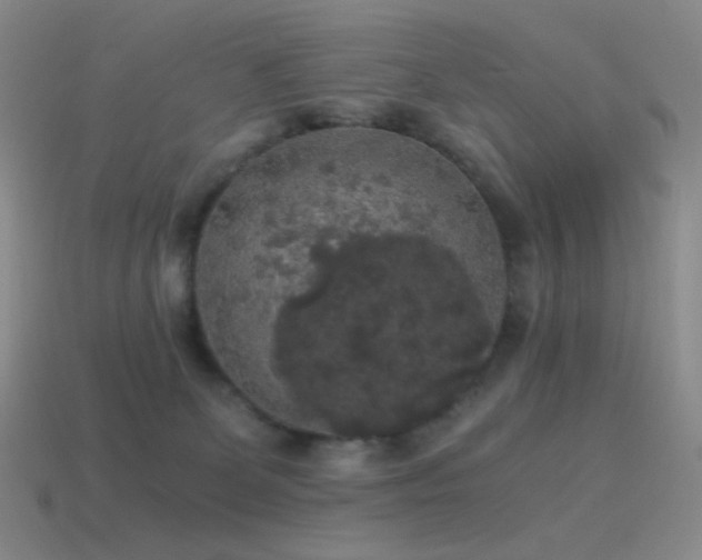 X0000115480131200911061225