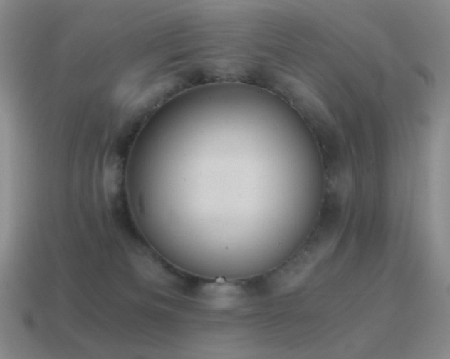 X0000115480133200911061225