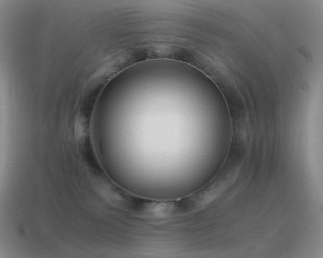 X0000115480135200911061225