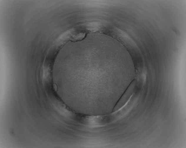 X0000115480136200911061225