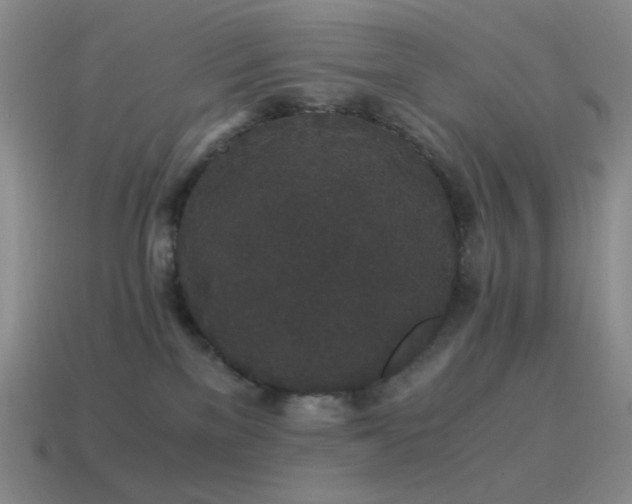 X0000115480137200911061225