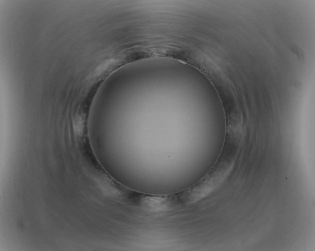 X0000115480139200911061225