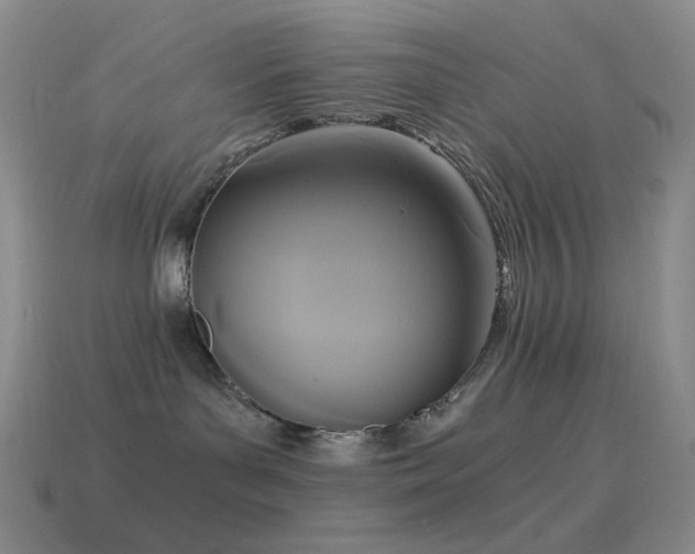 X0000115480143200911061225