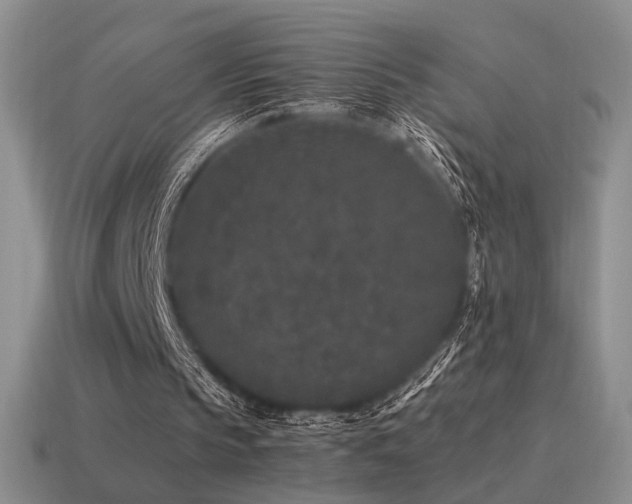 X0000115480145200911061224