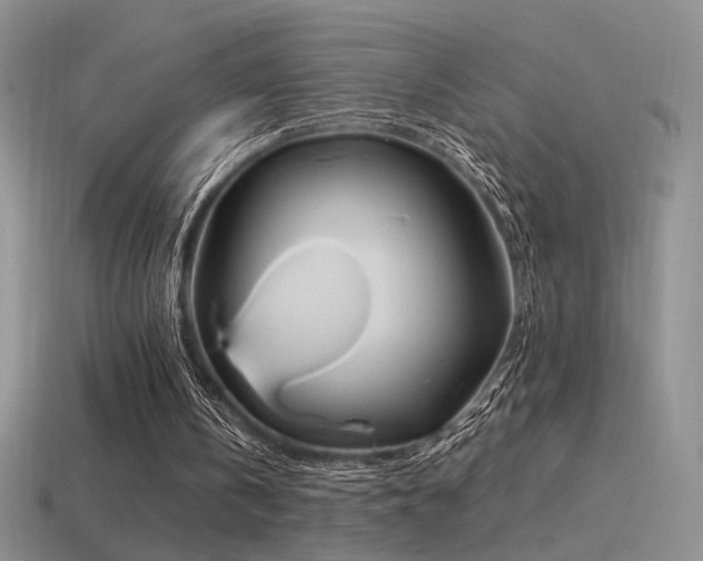 X0000115480146200911061224