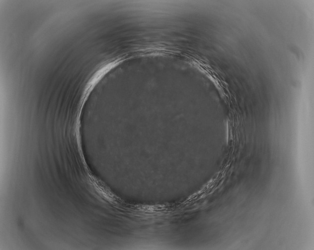 X0000115480147200911061224