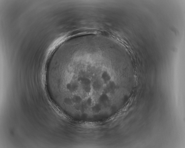 X0000115480149200911061224