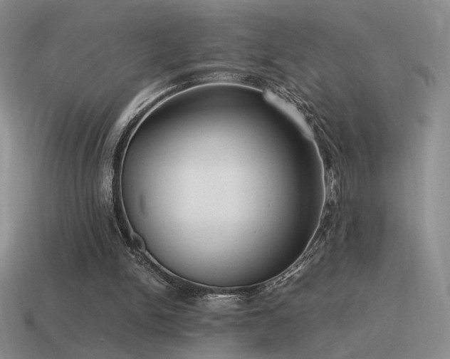 X0000115480150200911061224