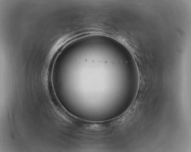 X0000115480151200911061224