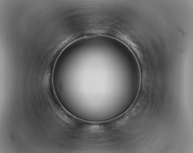 X0000115480153200911061224