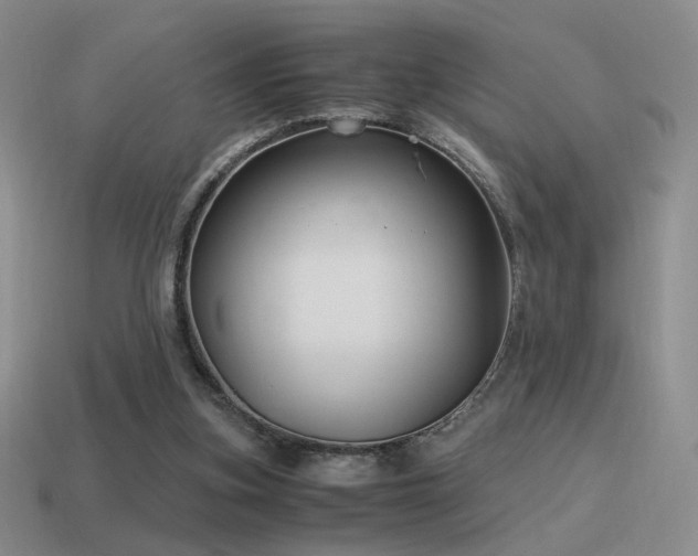 X0000115480155200911061224