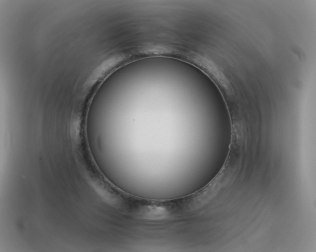 X0000115480159200911061224