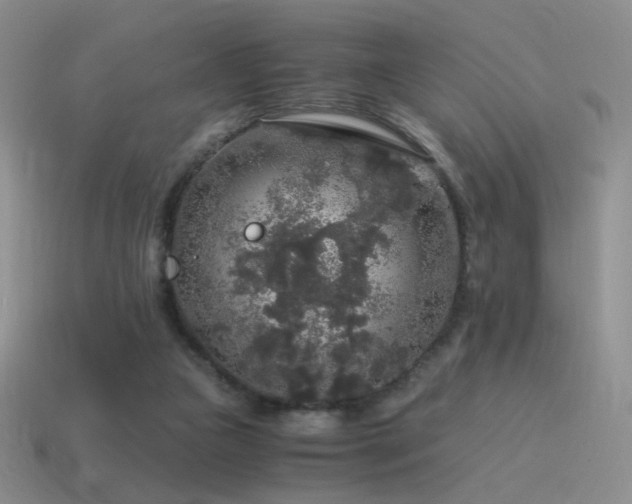 X0000115480161200911061224