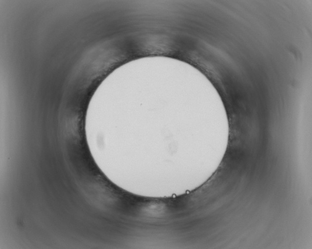 X0000115480162200911061224