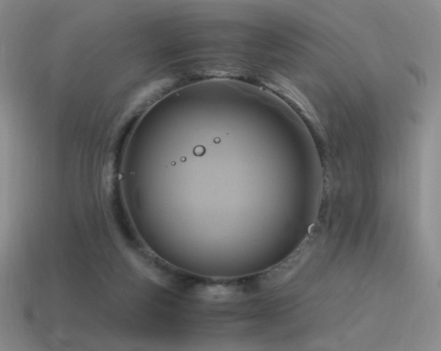 X0000115480163200911061224