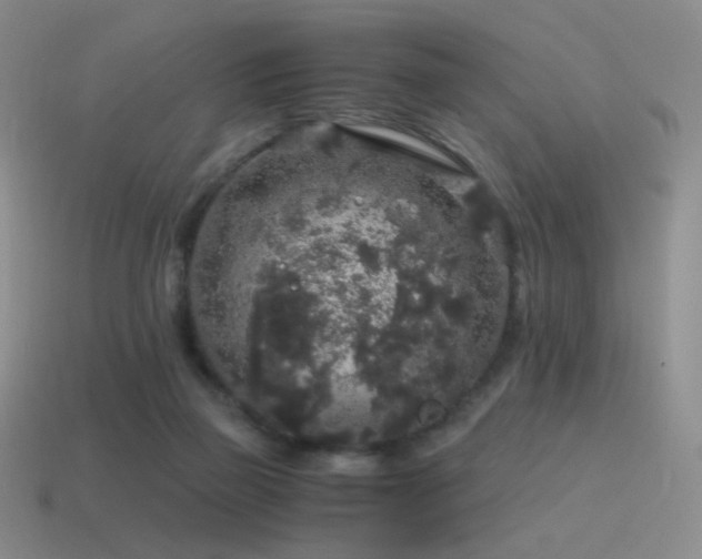 X0000115480165200911061224