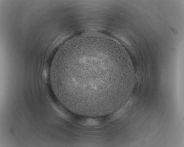 X0000115480166200911061224