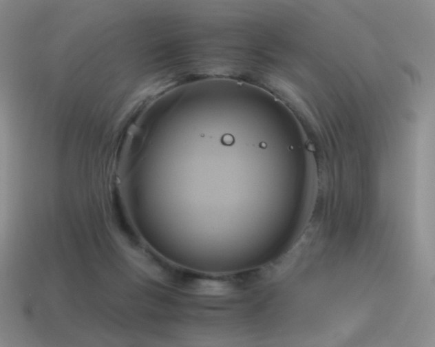 X0000115480167200911061224