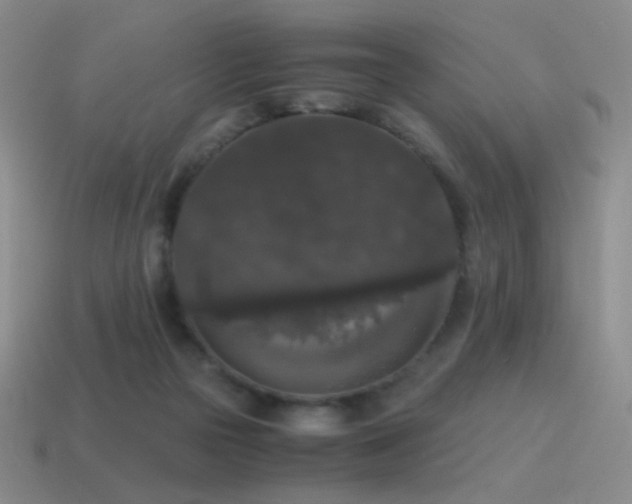 X0000115480169200911061224