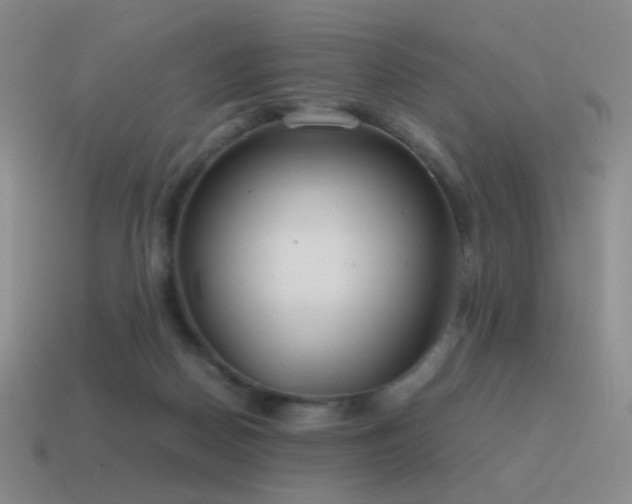 X0000115480170200911061224