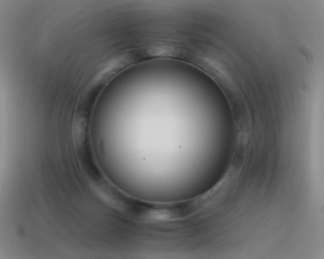 X0000115480171200911061224