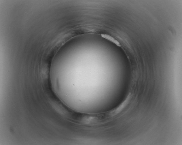 X0000115480174200911061224