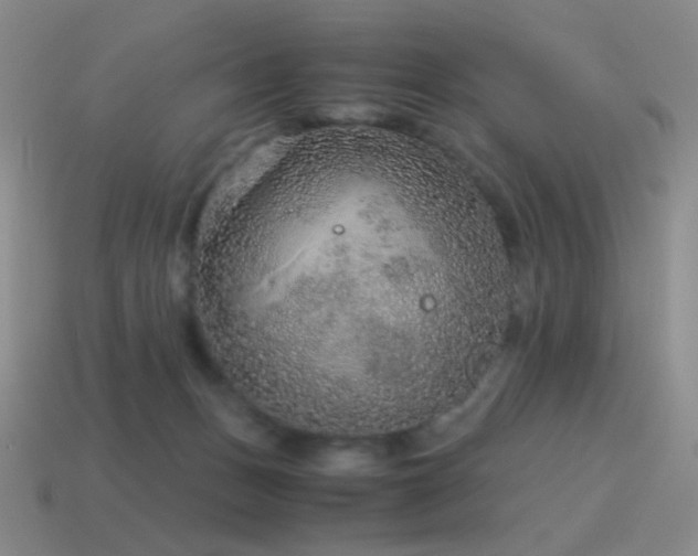 X0000115480175200911061224