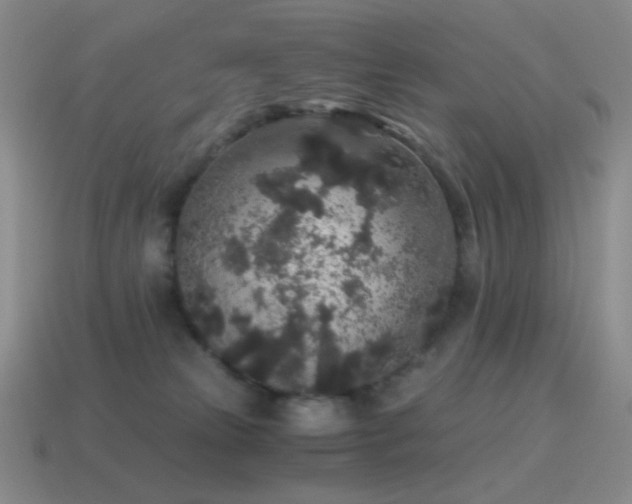 X0000115480181200911061225