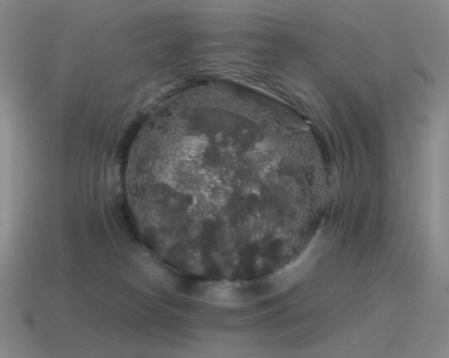 X0000115480182200911061225