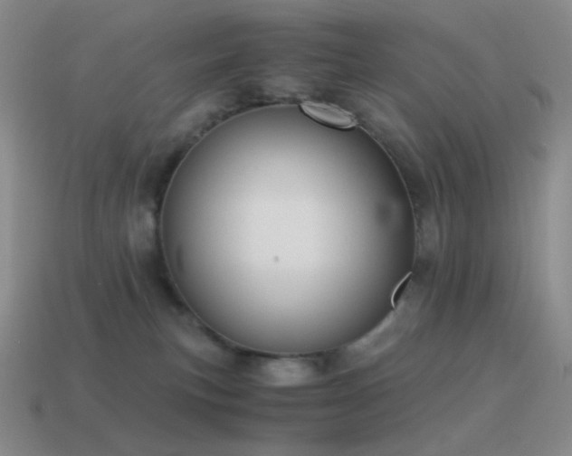 X0000115480183200911061225