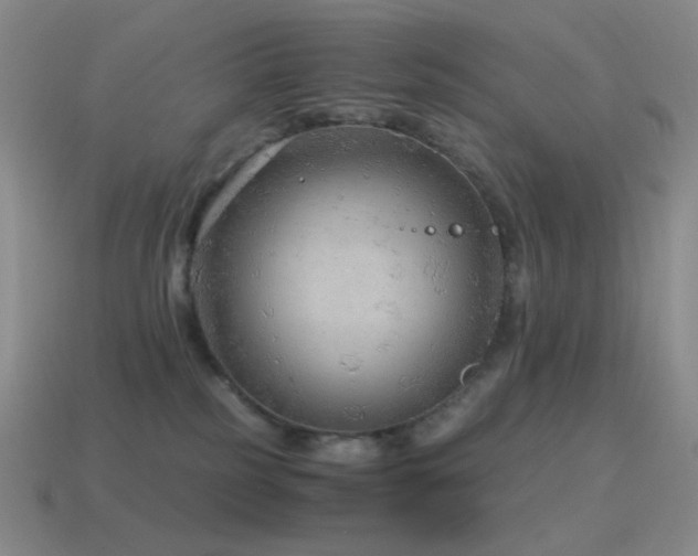 X0000115480185200911061225