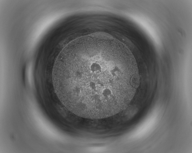 X0000115480189200911061225