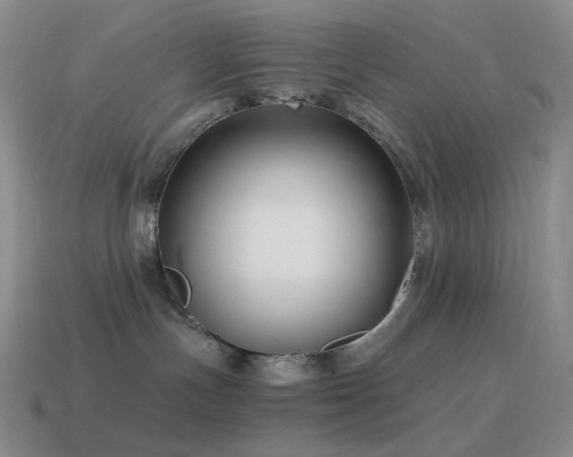 X0000115480191200911061225