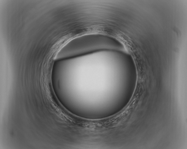 X0000115480193200911061224