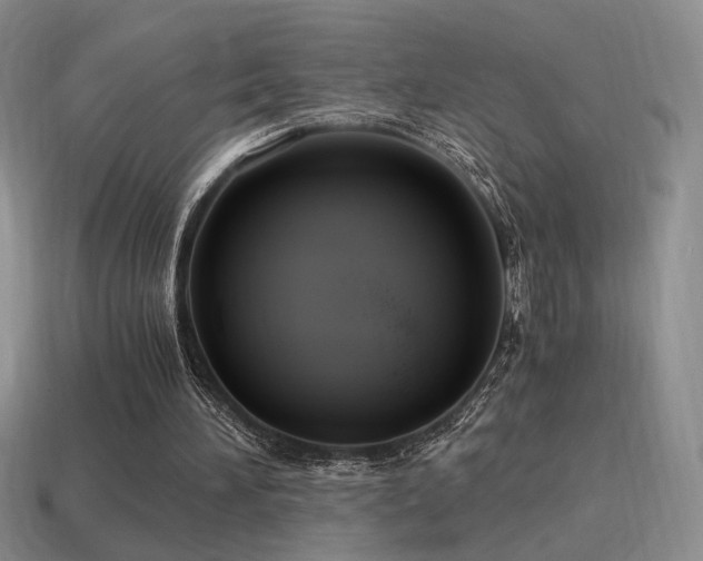 X0000115480196200911061224