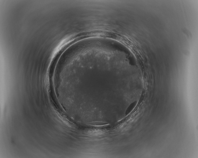 X0000115480198200911061224