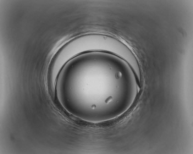 X0000115480199200911061224