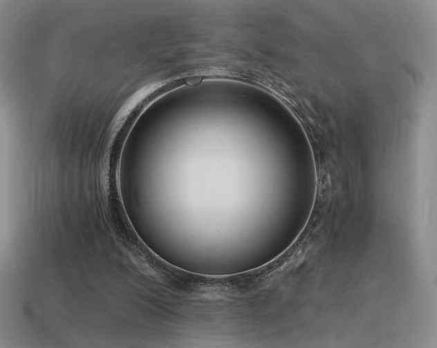 X0000115480200200911061224