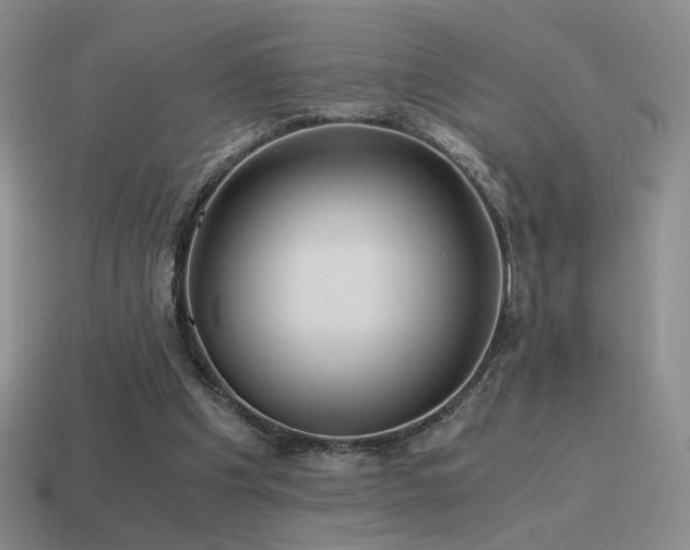 X0000115480201200911061224