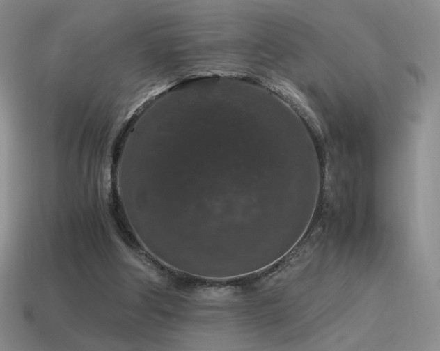 X0000115480202200911061224